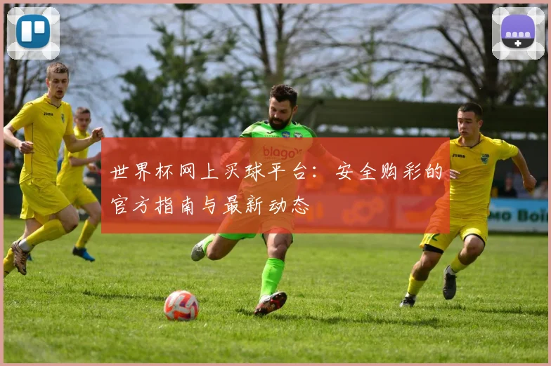 世界杯网上买球平台：安全购彩的官方指南与最新动态