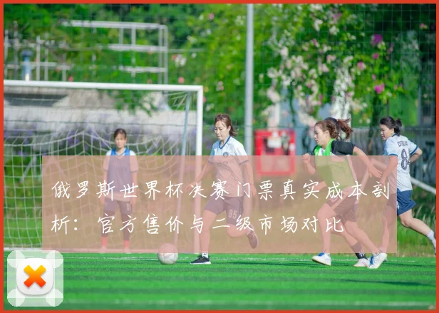 俄罗斯世界杯决赛门票真实成本剖析：官方售价与二级市场对比