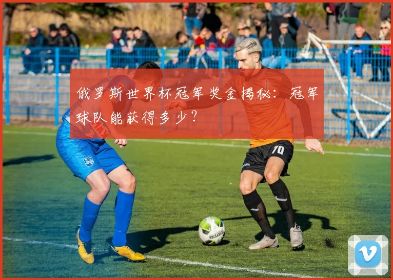 俄罗斯世界杯冠军奖金揭秘：冠军球队能获得多少？